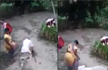 Watch: Woman thrashes hubby’s grandad in UP, arrested